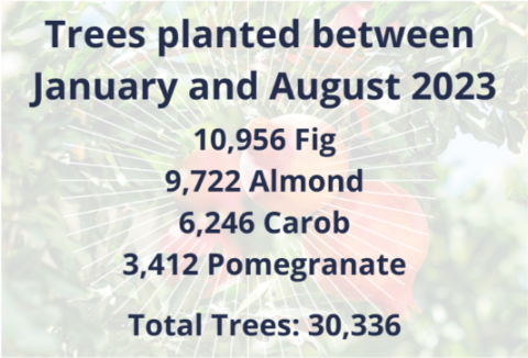 Trees planted between January and August 2023; 10,956 fig, 9,722 almond, 6,246 carob, 3,412 pomegranate, total trees: 30,336